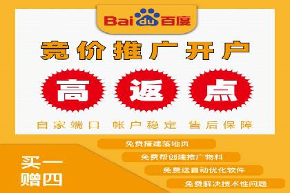 SEM广告投放优化案例研究