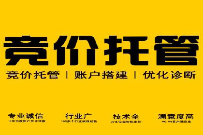 行业领先企业的SEM服务托管策略案例
